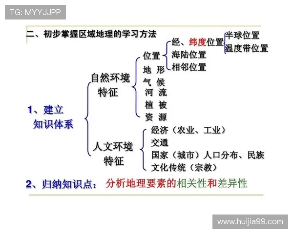 北京乒乓球队技术解析：从基础训练到比赛策略的全面探讨