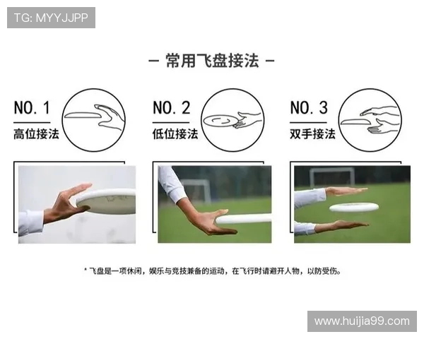 张敏独家：分享飞盘心得
