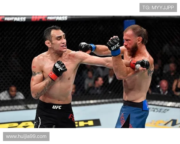 霍利菲尔德与托尼精彩对决视频回顾及赛后分析