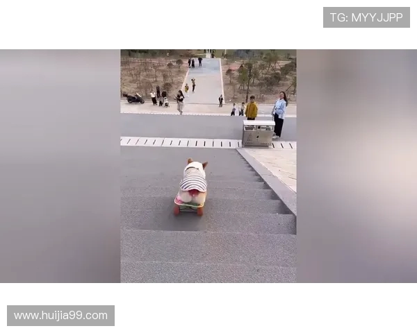 杭州滑板队与西安滑板队赛后复盘分析团队配合与战术执行的精彩瞬间